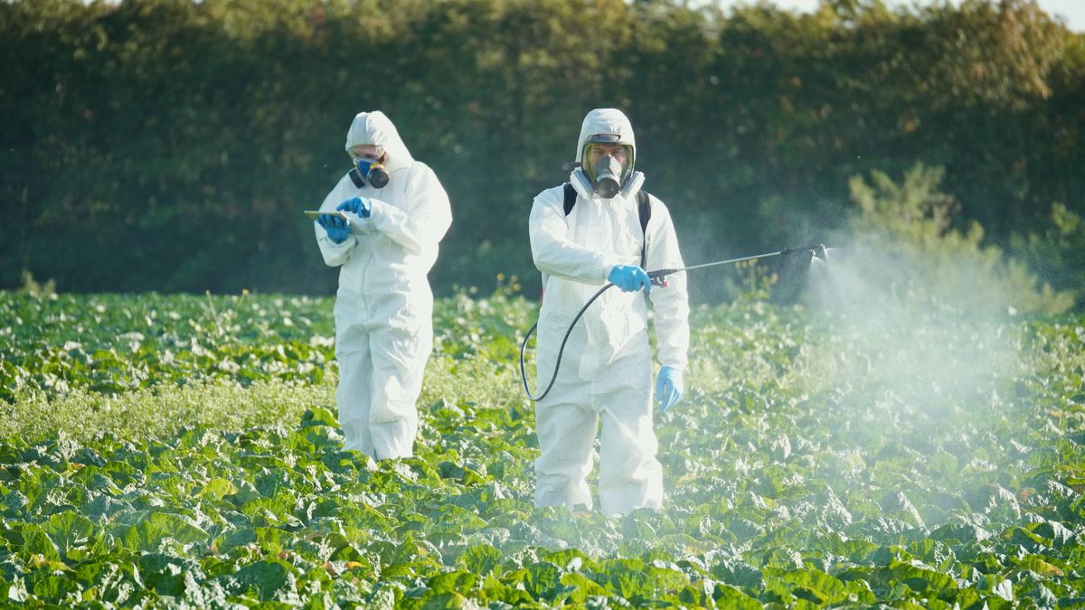 Demandas Roundup en California: Riesgos de Cáncer, Derechos Legales y Cómo Presentar una Reclamación